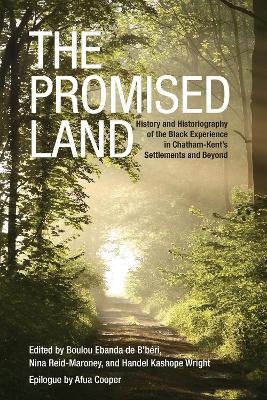 The Promised Land by Boulou de b'Beri