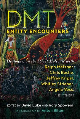 DMT Entity Encounters: Dialogues on the Spirit Molecule with Ralph Metzner, Chris Bache, Jeffrey Kripal, Whitley Strieber, Angela Voss, and Others book