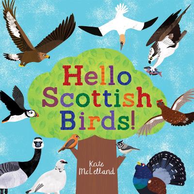 Hello Scottish Birds book