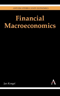 Financial Macroeconomics book