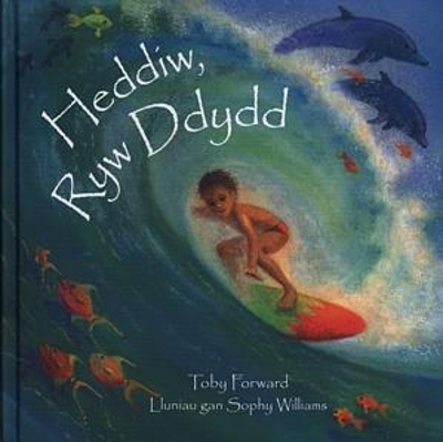 Heddiw, Ryw Ddydd book