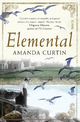 Elemental by Amanda Curtin