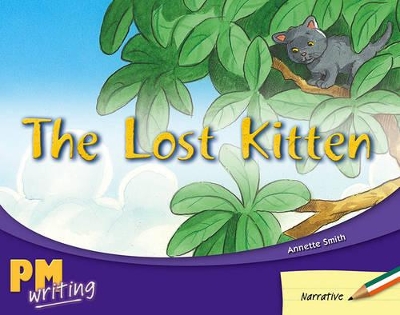 The Lost Kitten book