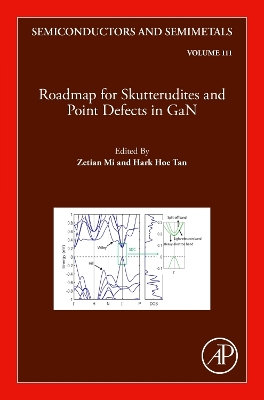 Roadmap for Skutterudites and Point Defects in GaN: Volume 111 book