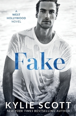 Fake book