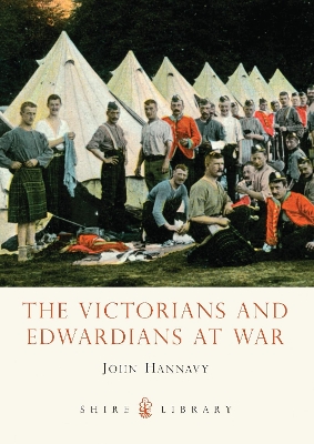 Victorians and Edwardians at War book