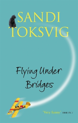 Flying Under Bridges book