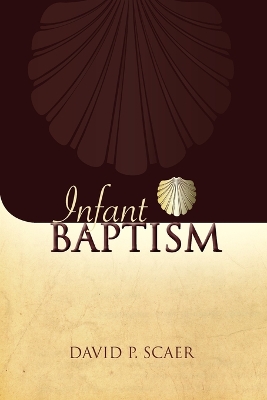 Infant Baptism in Nineteenth Century Lutheran Theology book