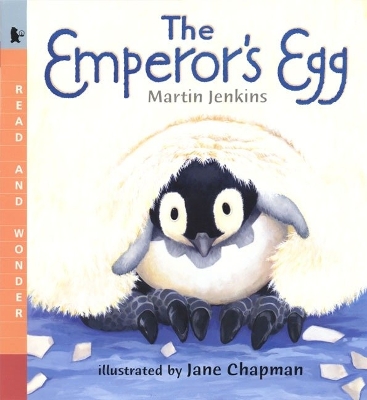 The Emperor's Egg Big Book: Read and Wonder Big Book by Martin Jenkins