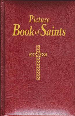 Picture Book of Saints: Illustrated Lives of the Saints for Young and Old by Reverend Lawrence G Lovasik