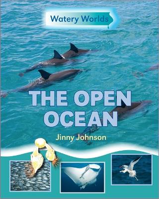 Watery Worlds: The Open Ocean book