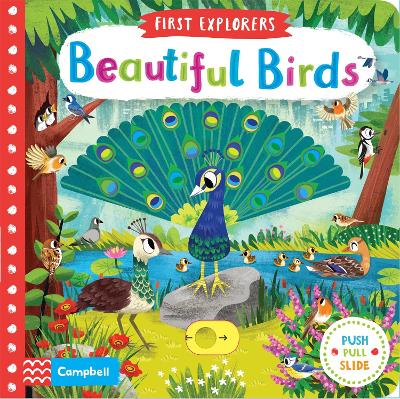 Beautiful Birds book