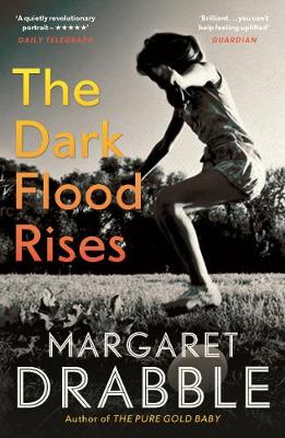 The Dark Flood Rises by Margaret Drabble