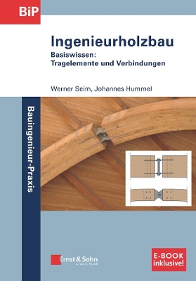 Holzbau - Basiswissen (inkl. E-Book als PDF) book