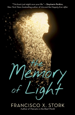 Memory of Light book