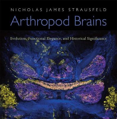 Arthropod Brains book