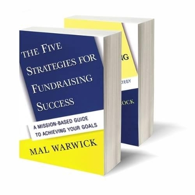 Fundraising Success Set (The Five Strategies for Fundraising Success & Ten Steps to Fundraising Success) book