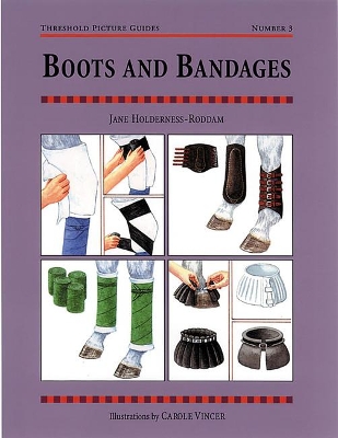 Boots and Bandages book