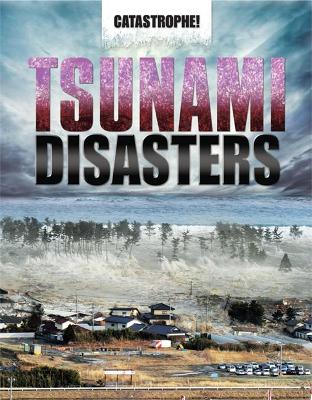 Tsunami Disasters book