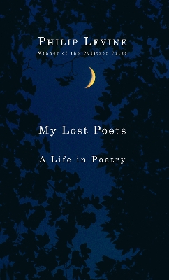My Lost Poets book