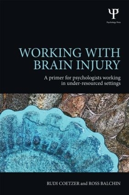 Working with Brain Injury by Rudi Coetzer