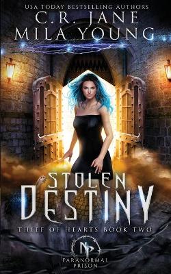 Stolen Destiny: Paranormal Romance book