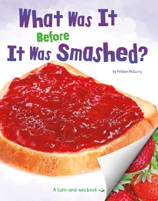 What Was It Before It Was Smashed? book