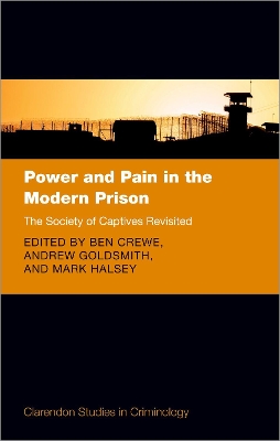 Power and Pain in the Modern Prison: The Society of Captives Revisited book
