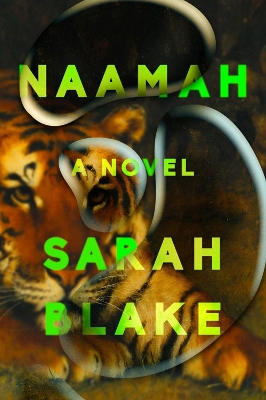 Naamah: A Novel book