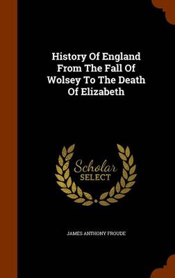 History of England from the Fall of Wolsey to the Death of Elizabeth book
