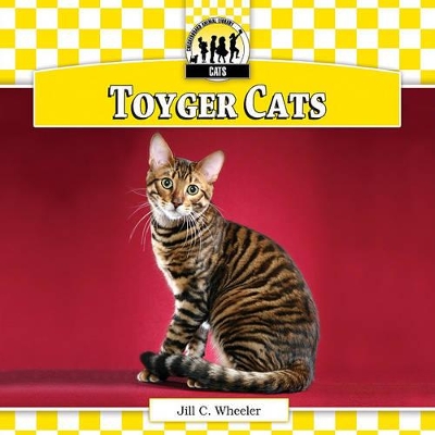 Toyger Cats book