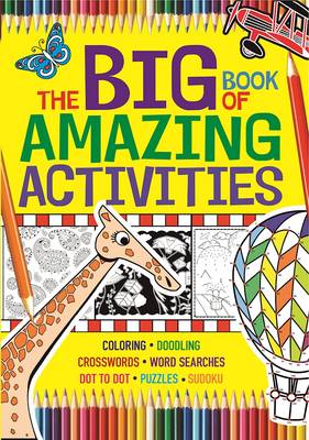 Big Book of Amazing Activities book