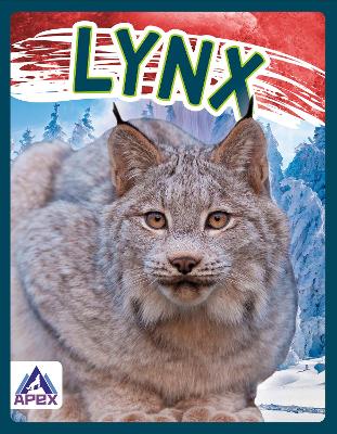 Lynx by Sophie Geister-Jones