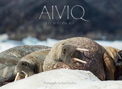 Aiviq: Life With Walruses book