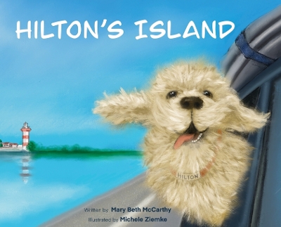 Hilton's Island book