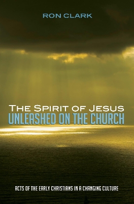 Spirit of Jesus Unleashed on the Church book