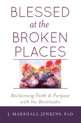 Blessed at the Broken Places by J. Marshall Jenkins PhD