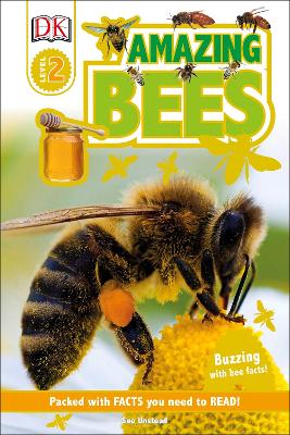 Amazing Bees: Buzzing with Bee Facts! book
