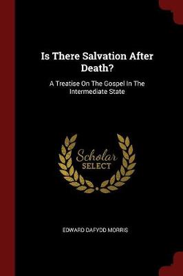 Is There Salvation After Death? book