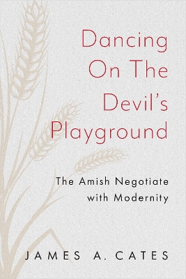 Dancing on the Devil's Playground: The Amish Negotiate with Modernity book