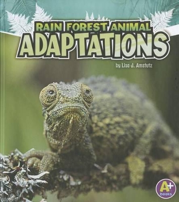 Rainforest Animal Adaptions book