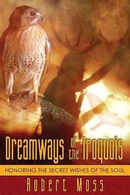 Dreamways of the Iroquois book