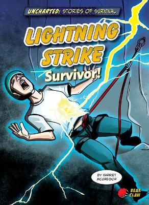 Lightning Strike Survivor! book