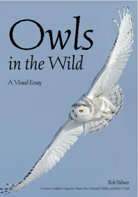 Owls In The Wild book