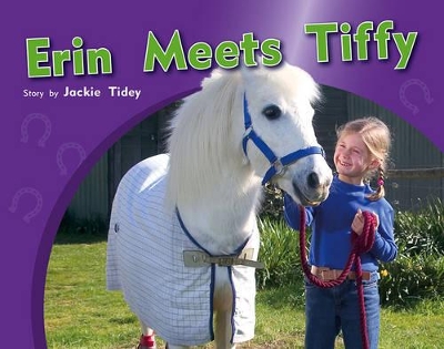 Erin Meets Tiffy book