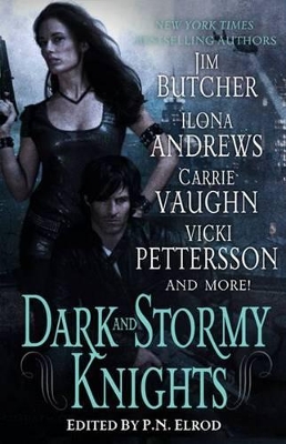 Dark and Stormy Knights book