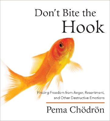 Don't Bite the Hook book