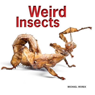 Weird Insects book