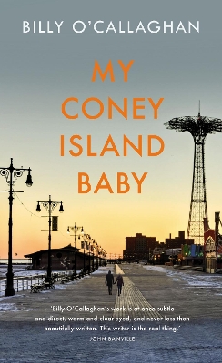 My Coney Island Baby book