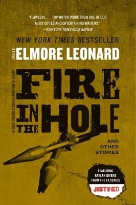 Fire in the Hole book